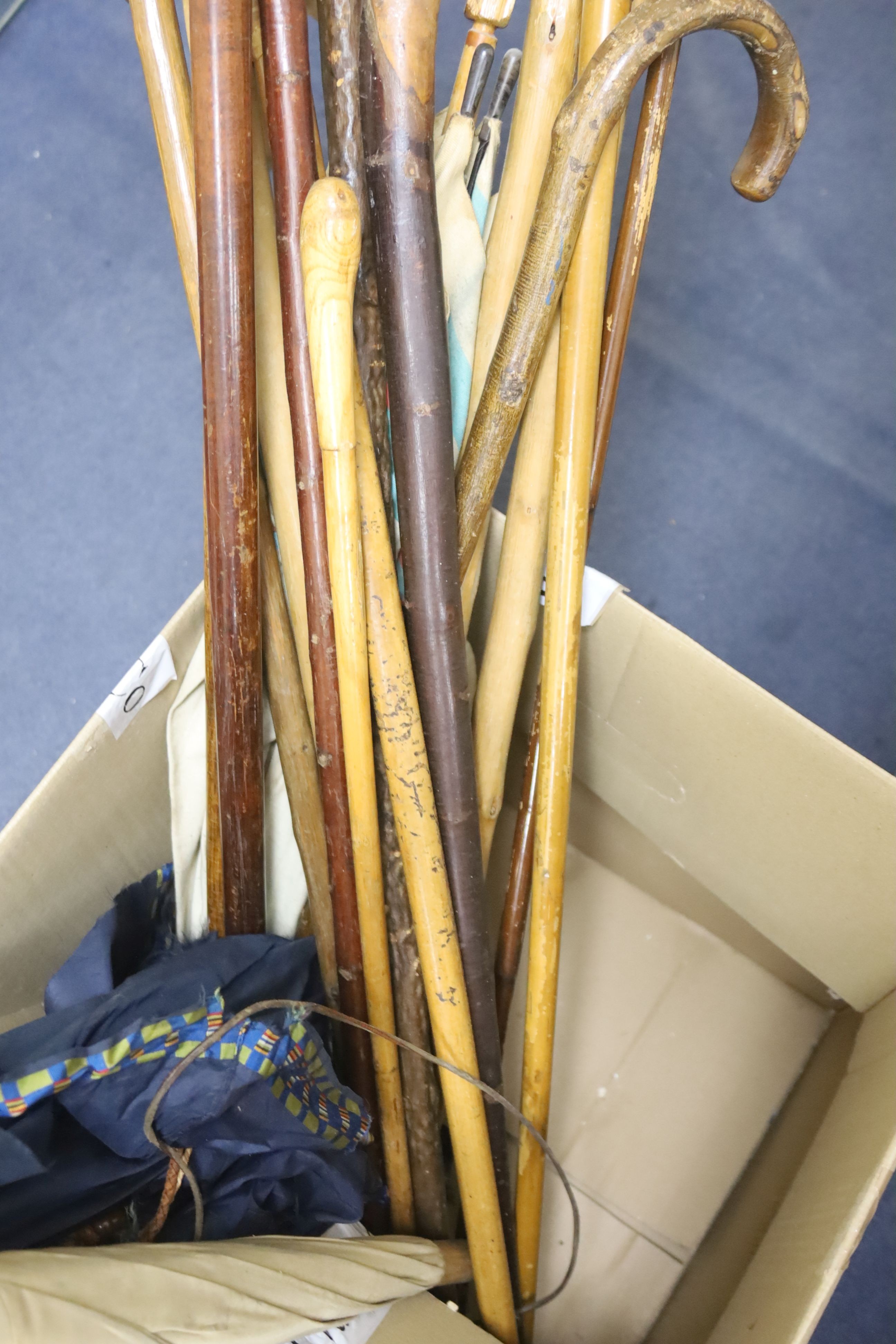 Assorted walking sticks and umbrella’s.